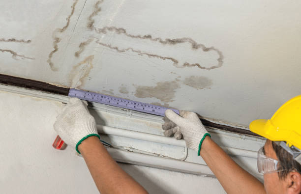 Reliable Mold Remediation contractor in Georgetown, CA by Local Water Damage Repair